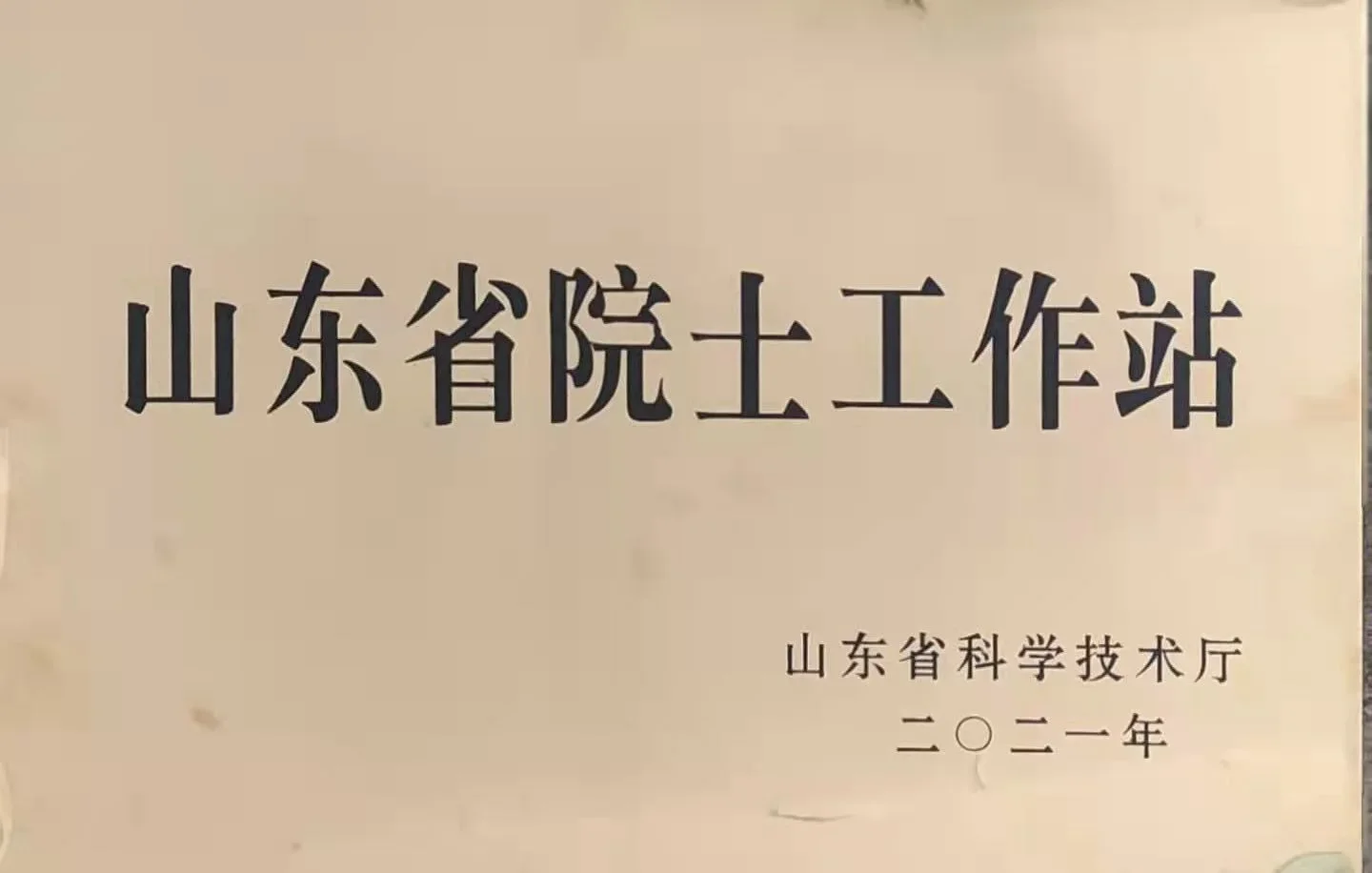 院士工作站证书 - 环保增塑剂专家研发平台