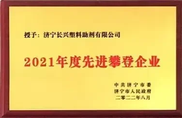2021年度先进攀登企业证书
