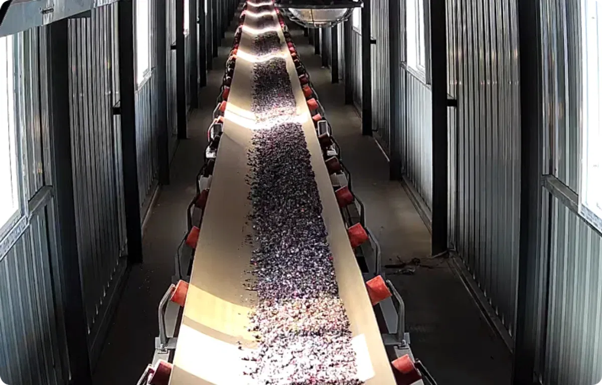 Automated conveyor belt feeding shredded PET flakes into the Jining Wansheng recycled-PET plasticizer production line for DOTP manufacturing