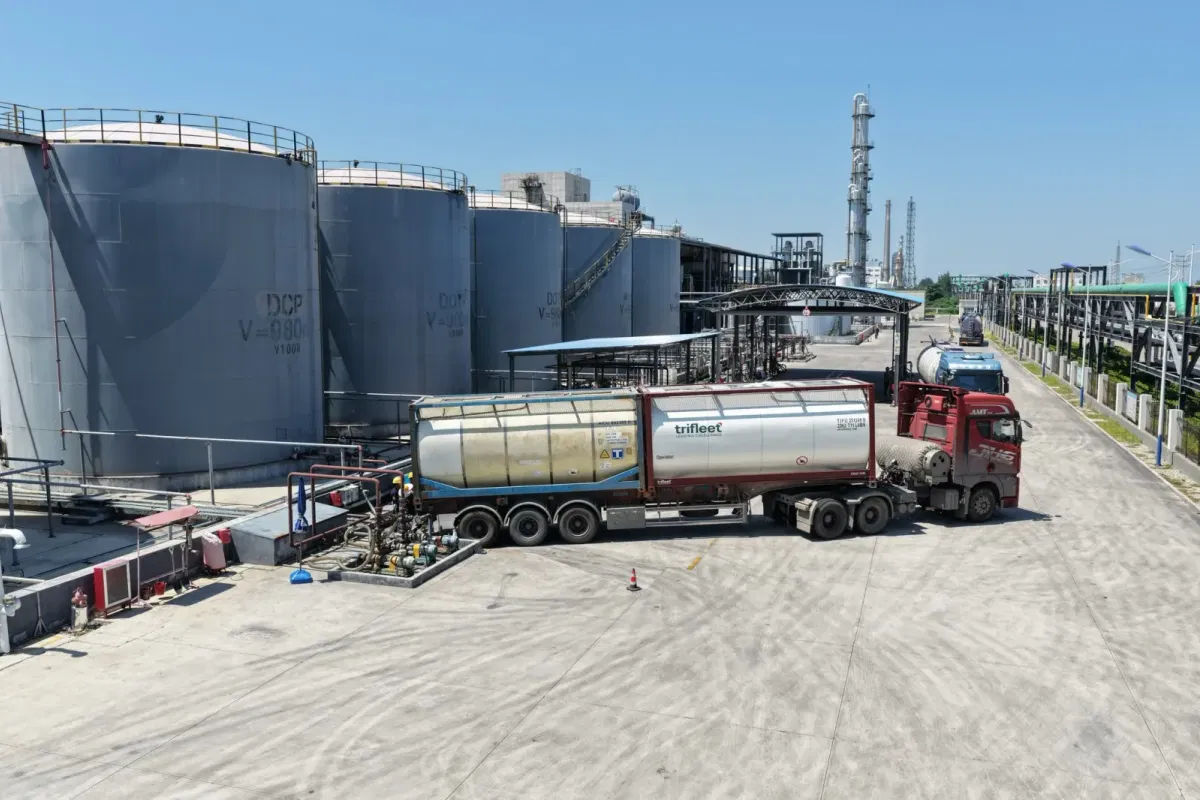 Bio-based DCP vs Petrochemical DOP: A Cost-Effective Procurement Guide - plasticizer industry blog article cover image