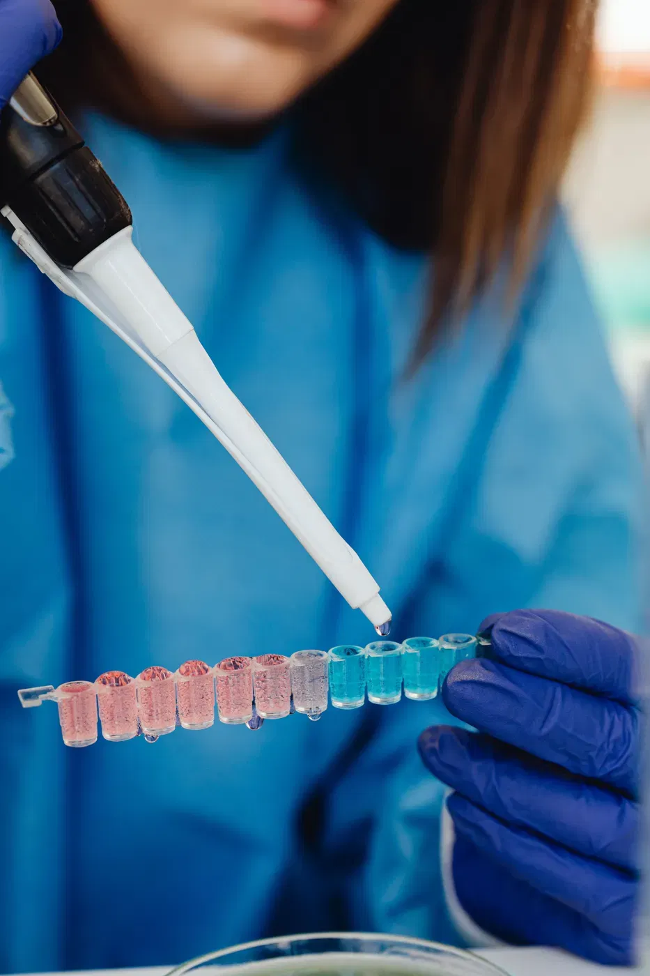 Laboratory technician in protective gloves carrying out quality testing on samples