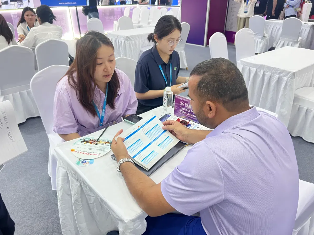 Shandong Changxing introducing DOTP products to a Pakistani customer at AP-RubberPlas 2026
